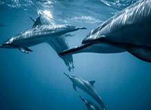 刘宇宁选秀视频,实力与魅力并存