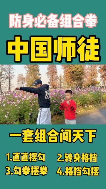 组合拳视频,一招一式，尽展武术魅力