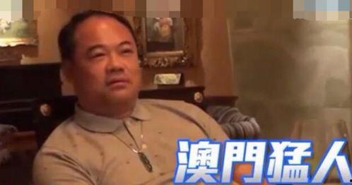 澳门何大志最新视频,澳门风云再起