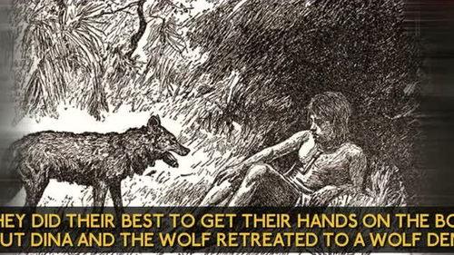 狼孩的故事视频,探索人类与自然界的神秘交融