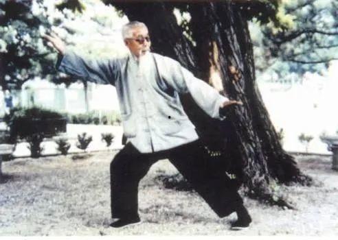 吴图南太极拳松功视频,揭秘传统武术的放松之道