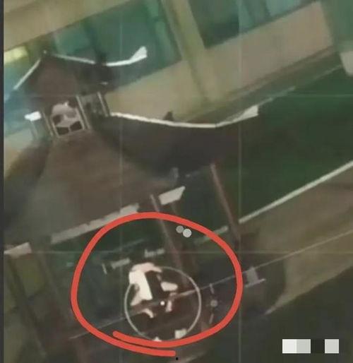 凉亭不雅视频,真相与反思